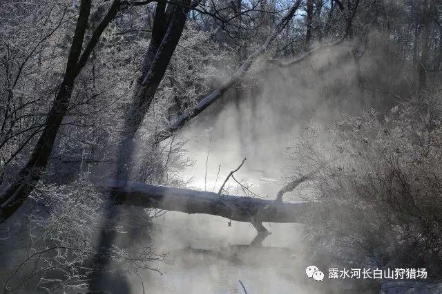 球球大作战下载最新版
